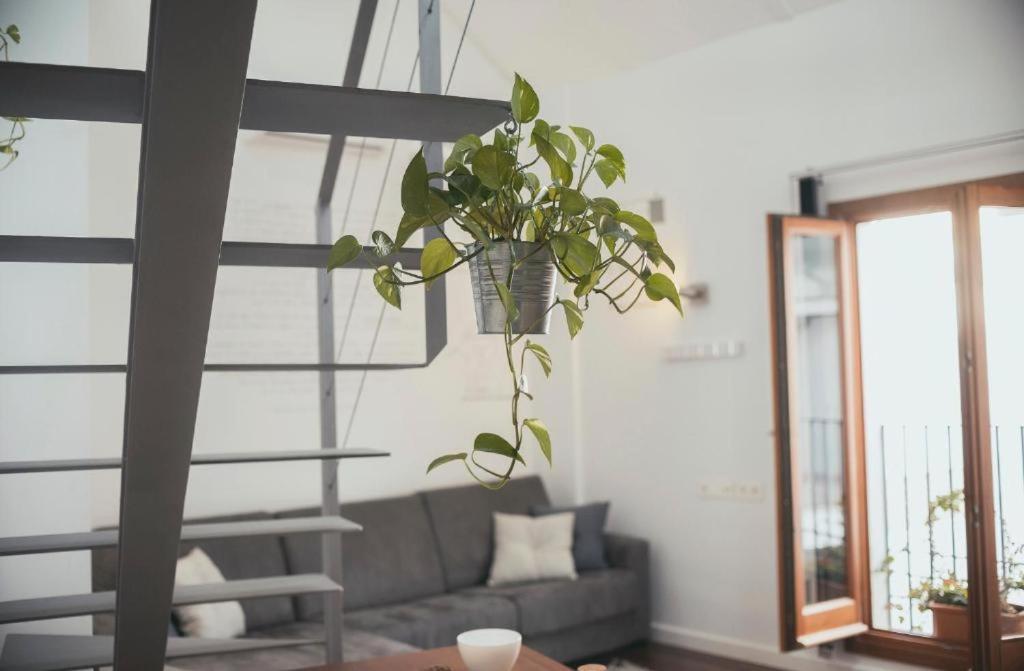 Trigo Homes Córdoba Eksteriør billede